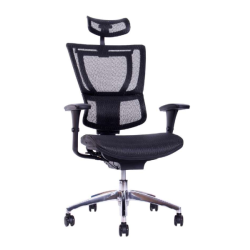 IOO BLACK