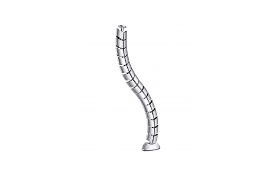 VERTEBRA